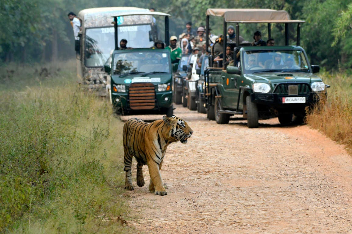 Jeep Safari Pench